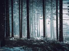 [굿나잇빌리] patio door 3