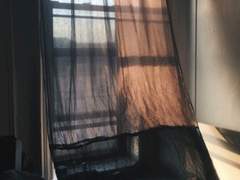 [스팁버키] 백합의 들판 1