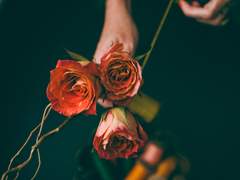 [해리피터] Ready for Love A