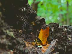 [맥한조] 생의 흔적