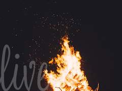 [스팁토니] Alive 01