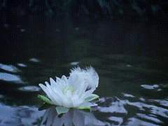 아주 옛날 얘기입니다.