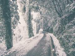 [스팁버키] 이탈-탈출 (완)