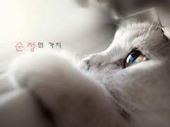 [리에야쿠] 순정의 가치 10