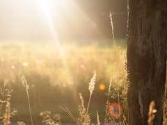 [LoGH/적금]태양은 가득히 - 9. 자각