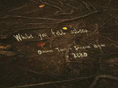 [오이이와] While you fell asleep (1)