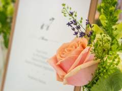 [본즈커크] 어린 신랑에게 대처하는 101가지 방법 : 아홉번째