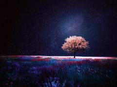 [이곤/조영] 악몽