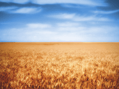 [릭마틴] You Are Everything to me