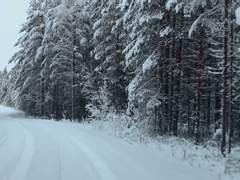 스팁버키 : 길 위의 트럭