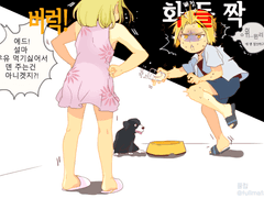 강철의 연금술사