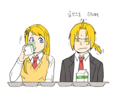 강철의 연금술사