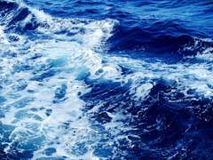 [Assassin's Creed/ 에드워드X헤이담 백합물] 푸른 산호초 -7- 完