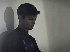 Lorenzo Ezio Alighieri