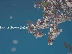 [BL /브금/움짤/사극] 은목서, 그 향기에 취하다 上