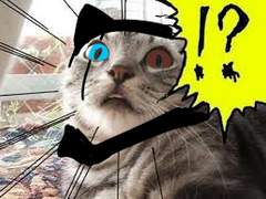 카르마 탐색 로그에서 냐렛만 추림