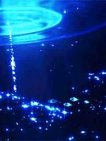 지박소년 하나코군