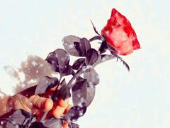 [본즈커크] Doctor and Beast (ch.7-외전)