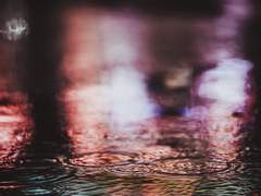 자드락비 내리다