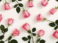 모두에게 할 수 있는 대답