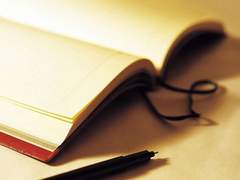 스팁버키 : 그의 일기장