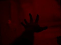 세상 모든 사람들이 나를 미워하기 시작했다