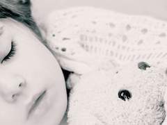 [스팁버키] 스티브 로저스의 양을 세는 방법