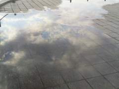 [셜록X츠키시마] 일요일 아침