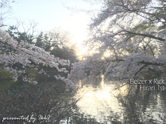 [To.백님/벨져릭] Hirari 1st