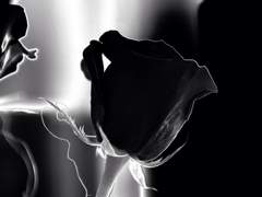 [블랙윙수장 팬텀] 스러지다 上