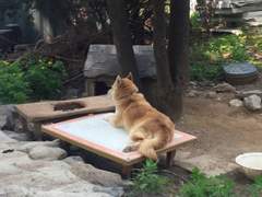 친구들이랑 청평갔다온거