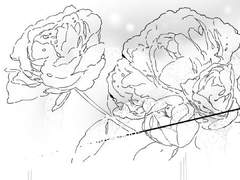 to. 커스터드님(비터 초콜릿)(공개)