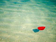 [팬텀아리] 물에 비친 달