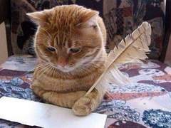 장르 글쓰기_녤옹 (1)