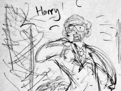 Collecter of Butterfly