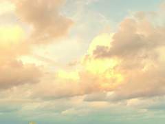 별을 삼켜버린 밤에 대한 약간의 해설.