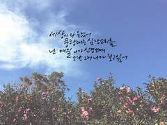캘리그라피 커미션