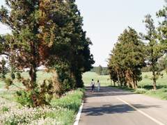 제주도에서의 일상 8