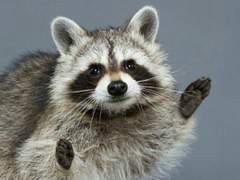 170525 덕질하고 시픈데;ㅈ;