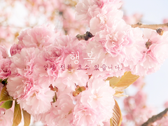 [토도데쿠]행복