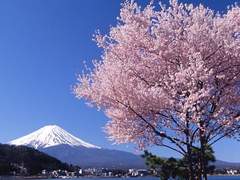 [F]계간환호 봄 백일장, 강지수: 나의 첫 봄