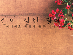 [토도이즈/토도데쿠]당신이 걸린 달에 上