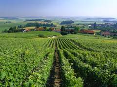 성길욘두성길/욘두퀼욘두로 삼시세끼썰