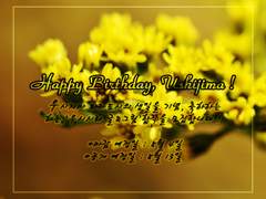 우시지마 와카토시 생일 기념 우시시라 합작모집(~6/24)