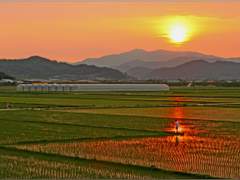 성길욘두성길/욘두퀼욘두로 삼시세끼썰 03