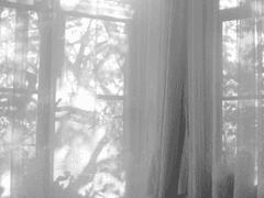 명대아성 - 여몽지몽 如梦之梦