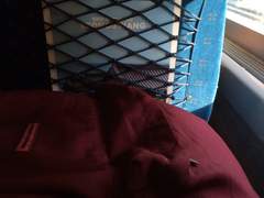 서울 : 유월의 (1)