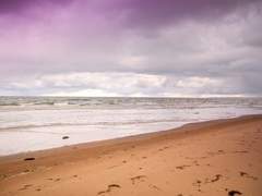 [한니발윌] 꿈 많은 인어의 여로