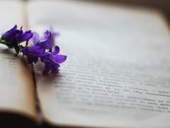 [팬텀루미] 뻔한 엔딩