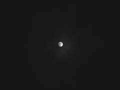 [레예모리] 아무것도 아닌 이야기.